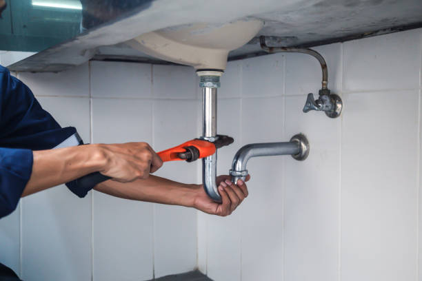 Best Clogged Drain Plumber  in Wallenuck Lake Estates, PA